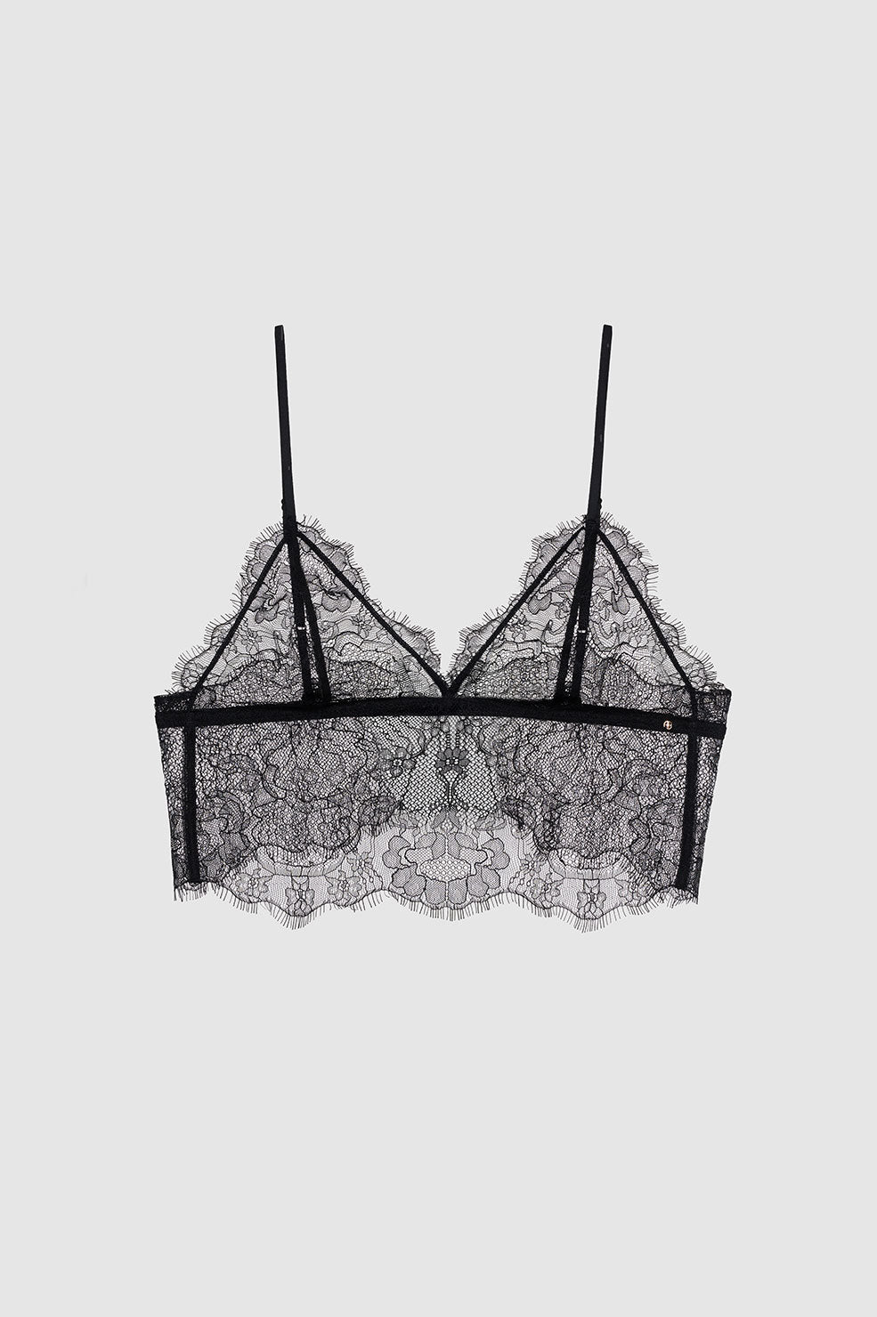 Black lace bralette, front view on white background